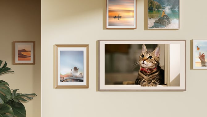 The Hisense CanvasTV mdoel 65S7N shows a picture of a cat. It hangs on the wall next to framed photographs.