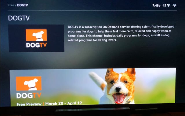 does comcast have dog tv