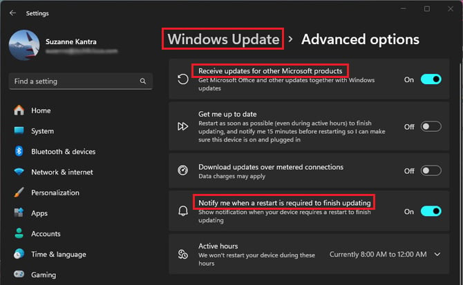 Screenshot of Windows Update Advanced options window with 