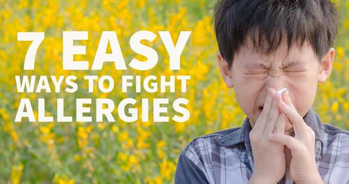 7 Easy Ways To Fight Allergies Techlicious