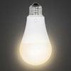 Never Be Left in the Dark: Backup Battery Light Bulbs to the Rescue